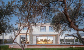 Olive Grove 4 bedroom villa, Paphos